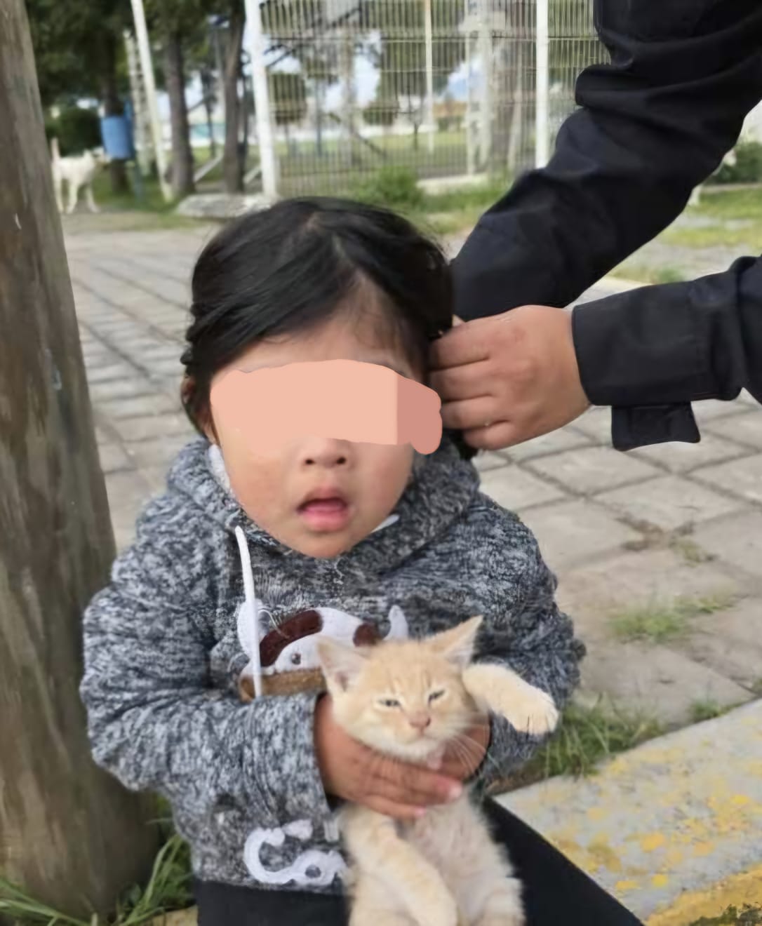 Gracias a la colaboración ciudadana, la menor Yaretzi "N" ya se encuentra con su familia