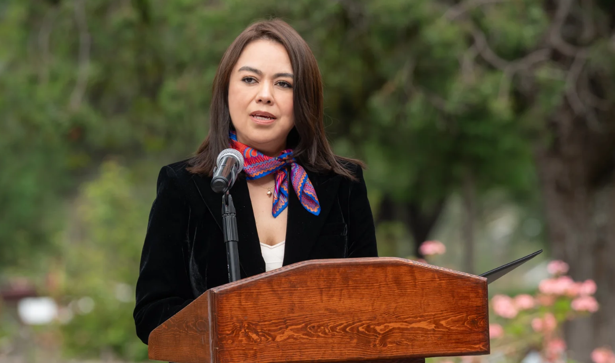 Fanny Amador Montes prioriza Código Nacional en su plan del TSJE