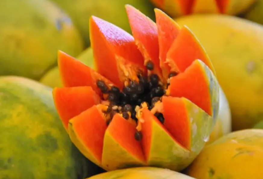 Propiedades y beneficios de la papaya