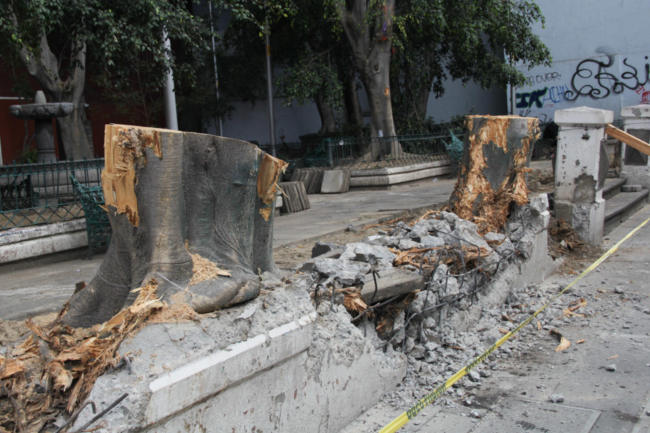 Pepe Chedraui justifica tala en parque Sor Juana
