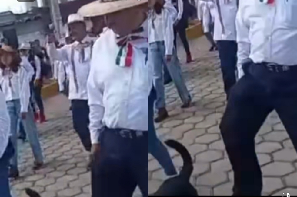 Foto: Cortesía Exigen sanción contra funcionario de Xaloztoc por patear a un perro
