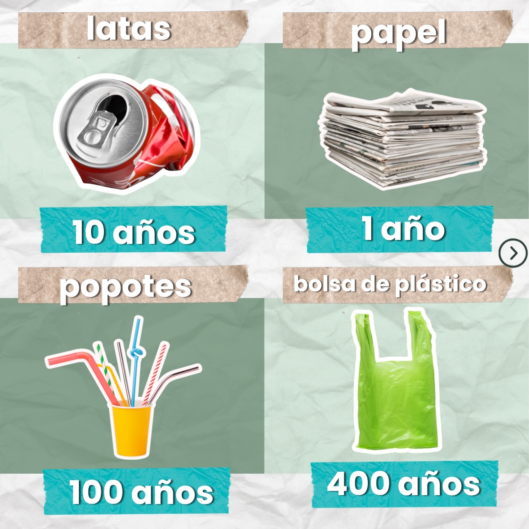 conciencia desechos 3