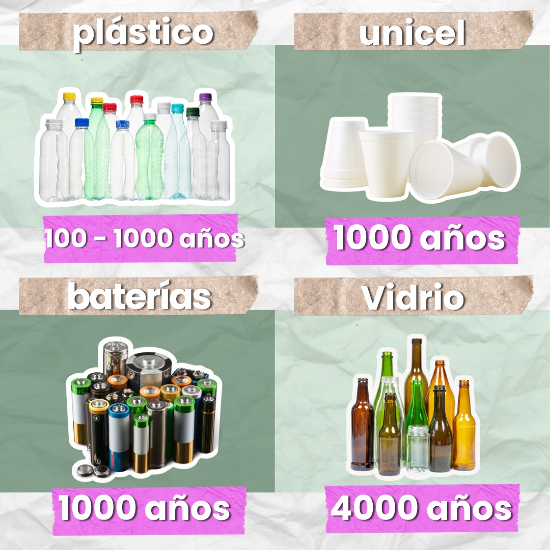 conciencia desechos 4