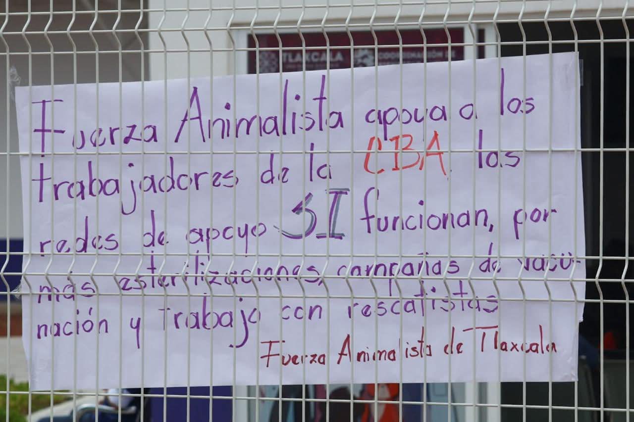 Foto: Cortesía Rescatistas y animalistas demandan a CBA no privilegiar intereses políticos