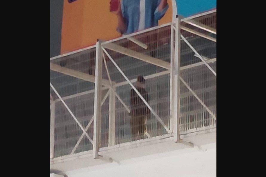 Foto: Cortesía Hallazgo en el Periférico Ecológico