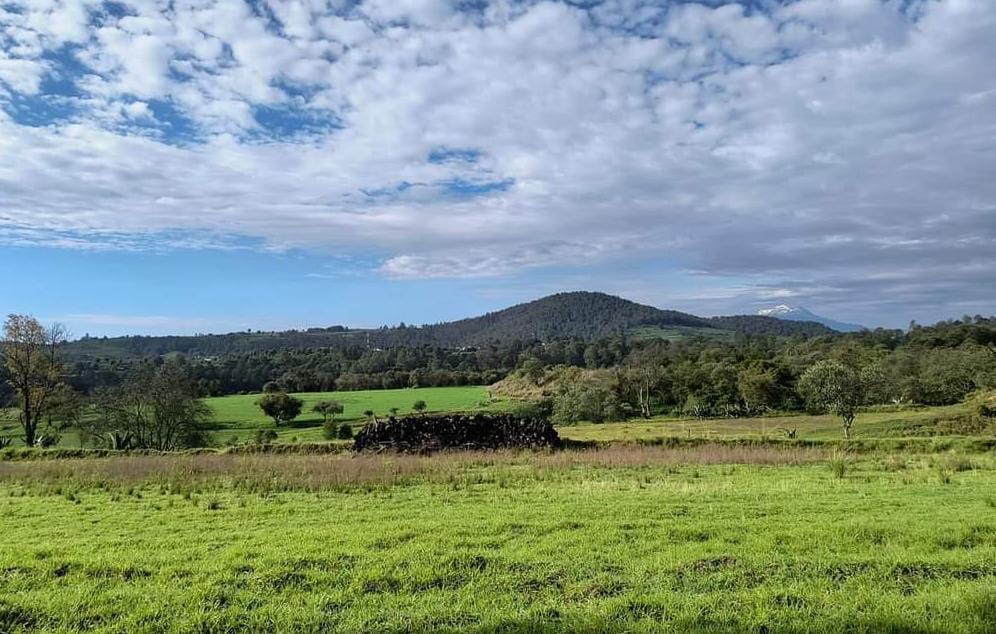 Foto: Cortesía Tlaxcala destinará 443 mdp al campo en 2026 con más apoyos rurales