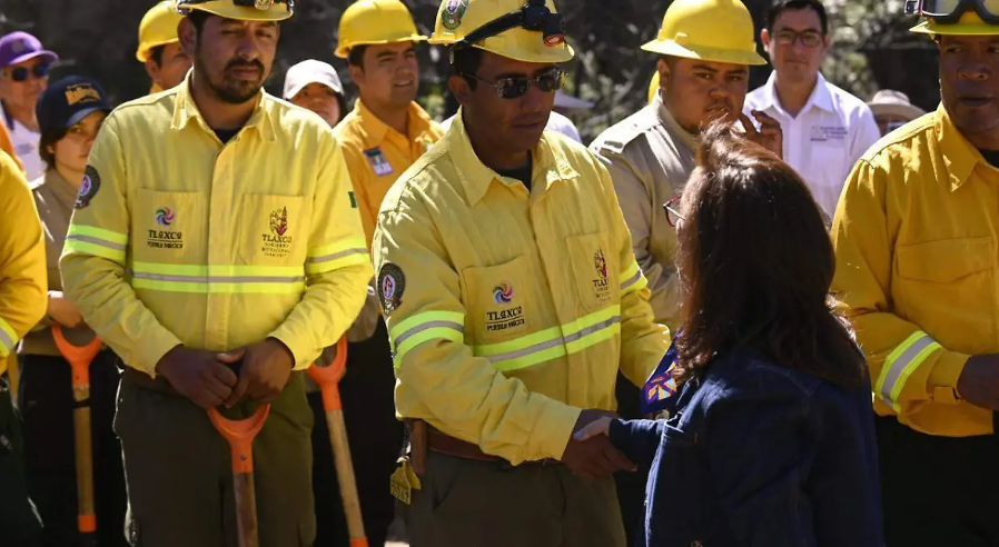 Foto: Cortesía Tlaxcala inicia reforestación de 330 hectáreas tras incendio en Atltzayanca