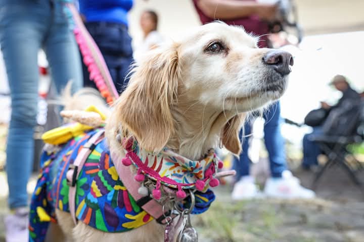 Comunicado oficial Omar Muñoz da banderazo de inicio al Centro de Bienestar Animal