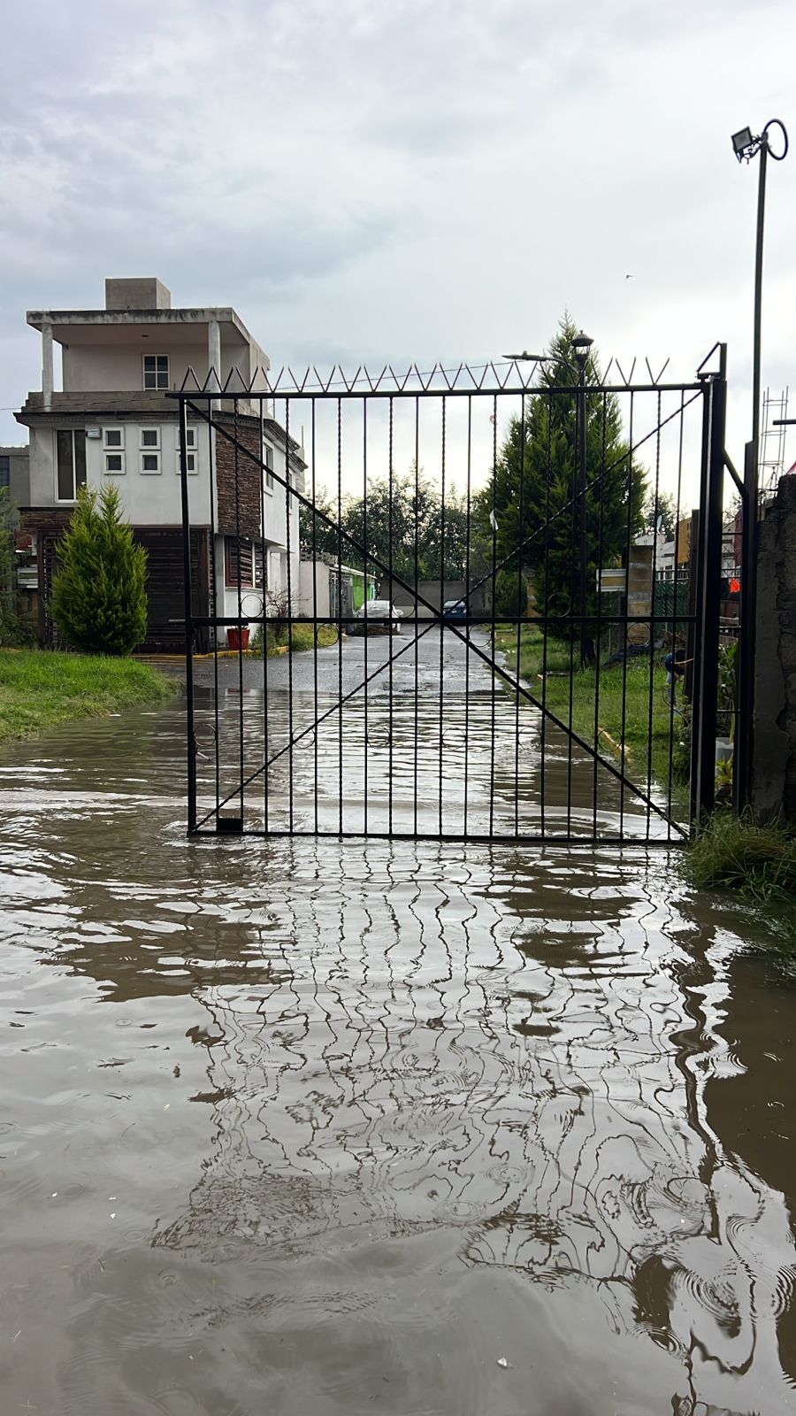 activan protocolo acuario 1