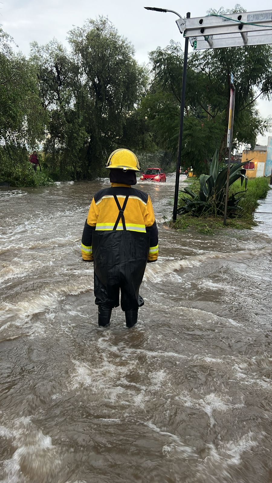 activan protocolo acuario 2