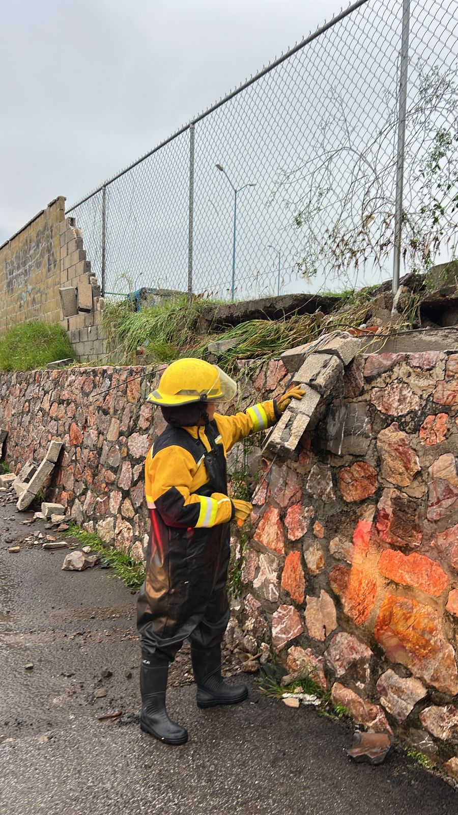 activan protocolo acuario 3