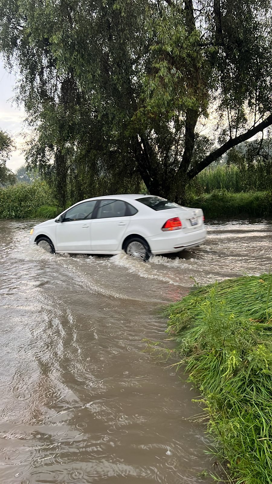 activan protocolo acuario 6