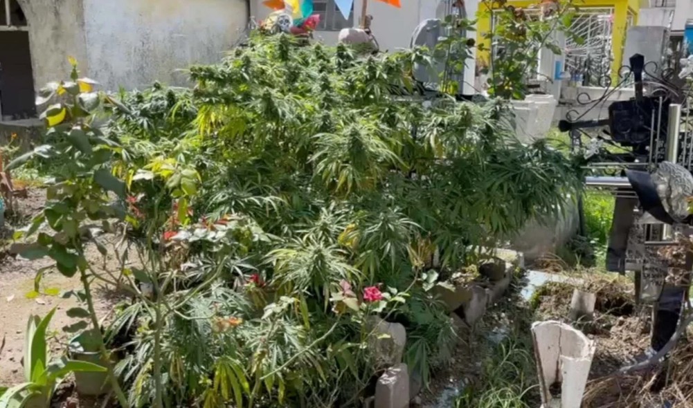 Descubrimiento insólito en panteón de Puebla