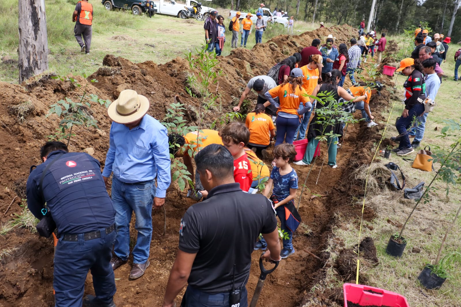4a reforestación zapotecas spch 5