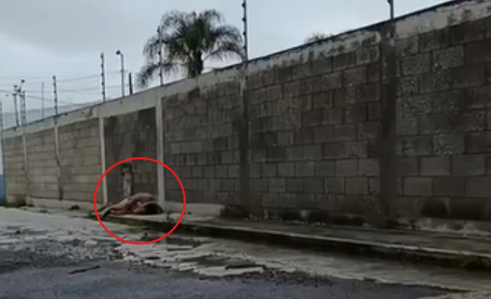 Hallazgo en San Lorenzo Almecatla