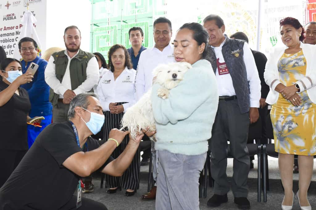 jornada salud imss bienestar coronango 1