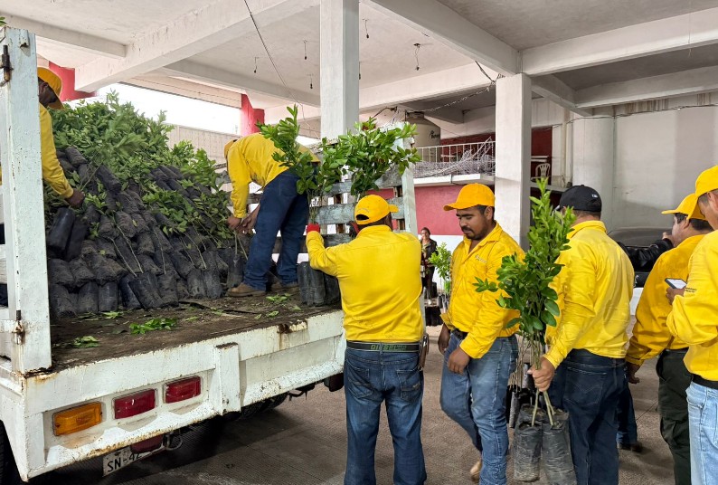 Entrega de árboles frutales en la Sierra Norte
