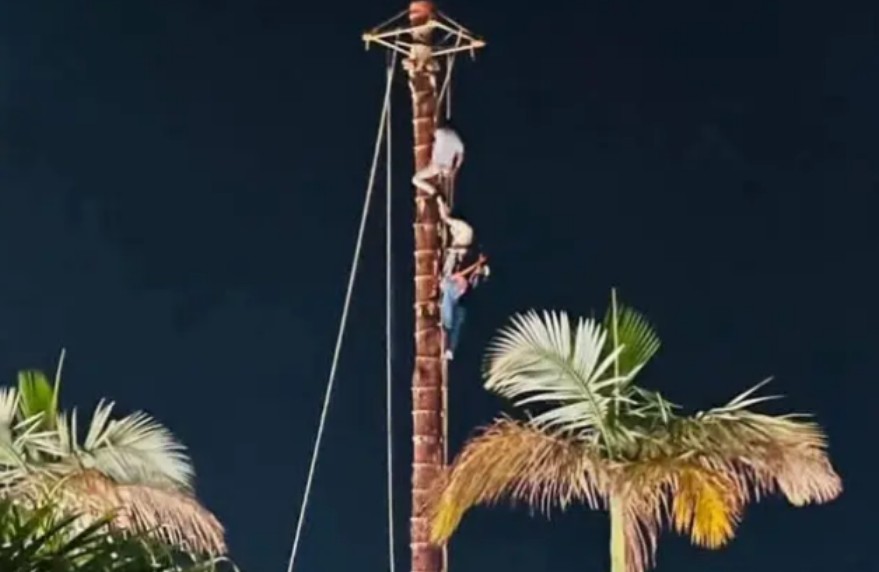 Foto: Cortesía Intento de suicidio en Cuetzalan
