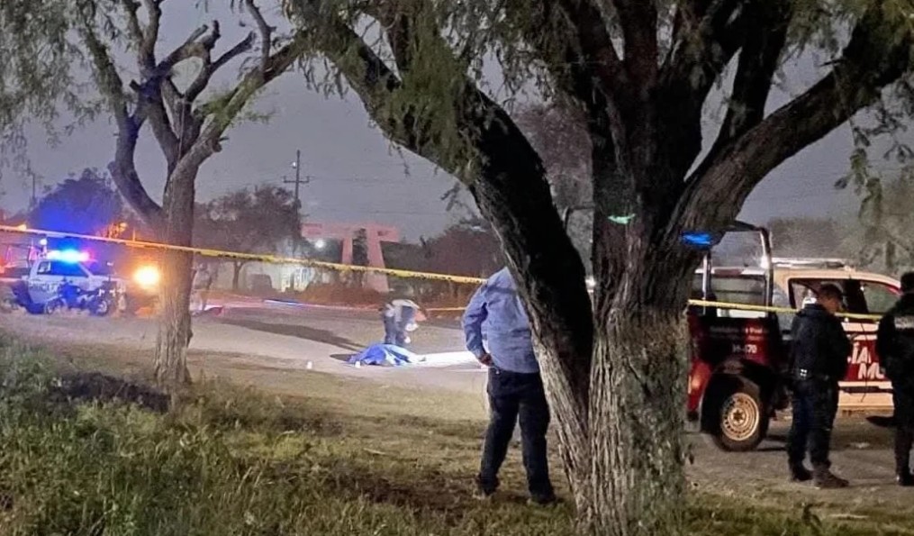Foto: Cortesía Hallazgo en la carretera federal