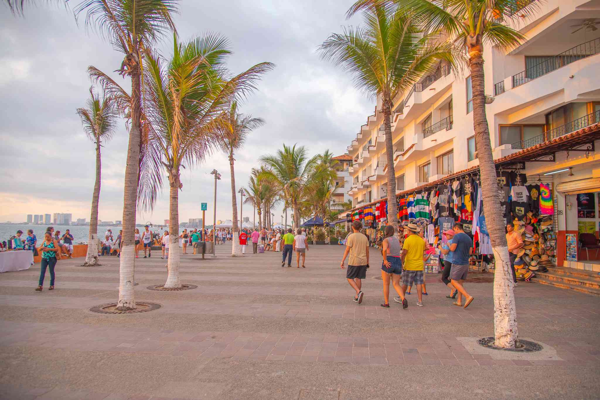 Foto: Cortesía Puerto Vallarta cavará 500 fosas dobles por coronavirus