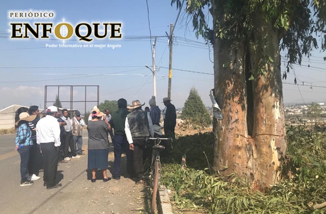 Foto: Omar Sànchez  Acusan en San Francisco Ocotlán que Antonio Teutli permite derribo de árboles