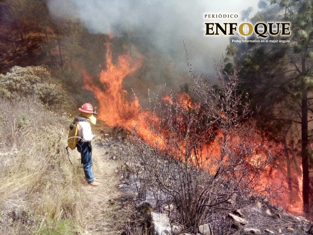 149 incendios forestales en Puebla durante el primer trimestre del año 