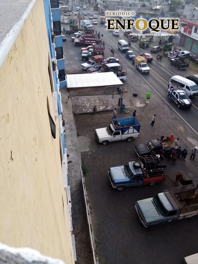 Foto: Rommel Pichardo Cierran tianguis de ganado en Villa Alta, comerciantes se instalan sobre la carretera Federal Tlaxcala Texmelucan