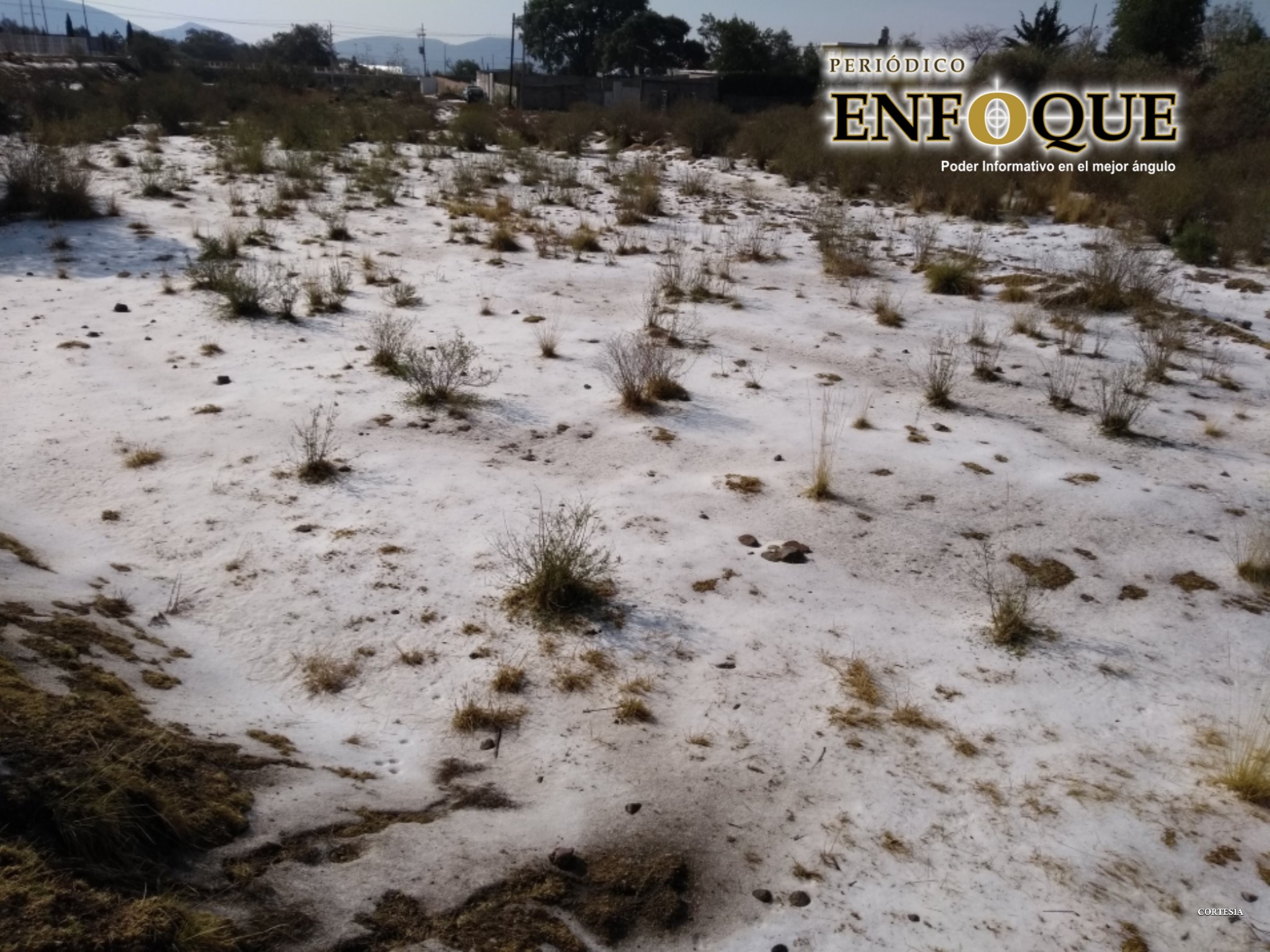 Foto: Cortesía Hectáreas de  Durazno y Ciruela las principales afectadas por la granizada en Acajete
