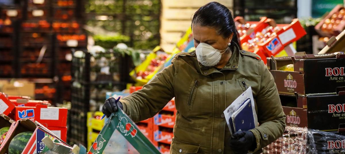 Foto: Cortesía Cifra de contagios 'sería hasta 31 veces más grave"