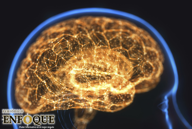 Hábitos que parecen sanos pero pueden dañar tu cerebro 