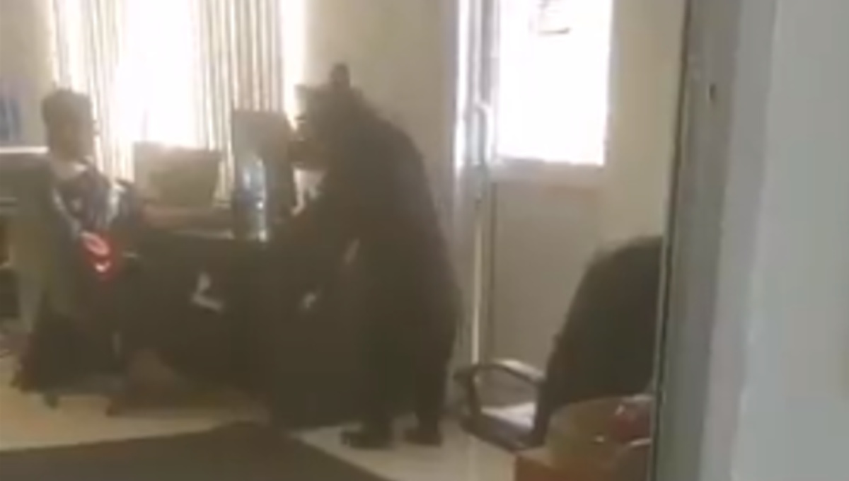 Foto: Cortesía Oso se mete a oficina y paraliza al personal en Monterrey (Video)