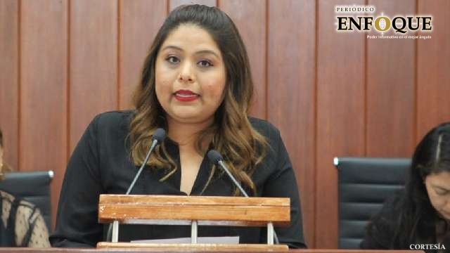 Foto: Cortesía Sector de diputados buscan impugnar reforma electoral al ITE