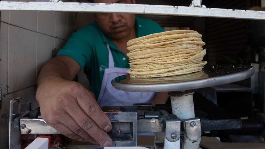 Foto: Cortesía Buenas noticias: la tortilla no subirá de precio para fin de año