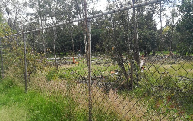 Foto: Cortesía Gobierno busca agilizar regularización de predios a través de iniciativa de reforma