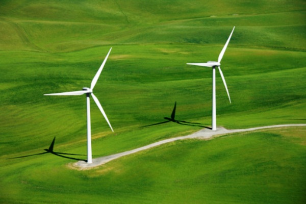 Foto: Cortesía Energías verdes necesitan cambios regulatorios para beneficiar el bolsillo de los mexicanos