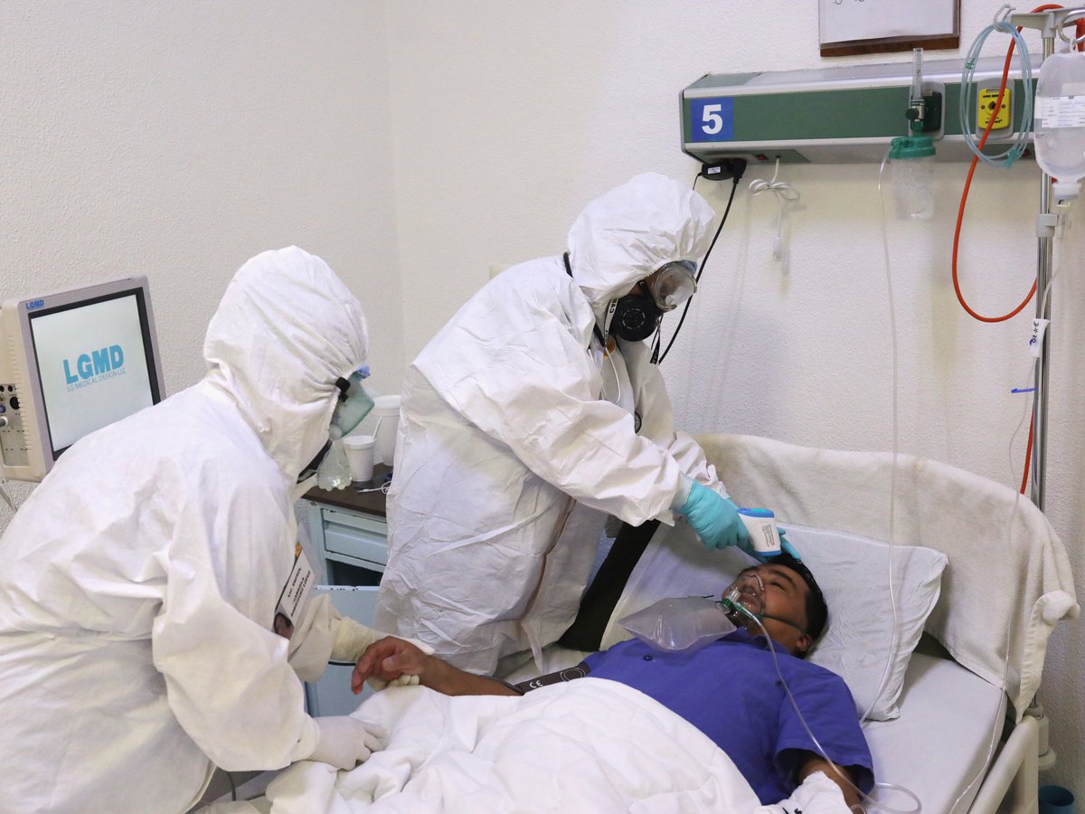 Foto: Cortesía Hongo mortal que resiste a medicamentos aparece en México y ya van al menos 10 casos