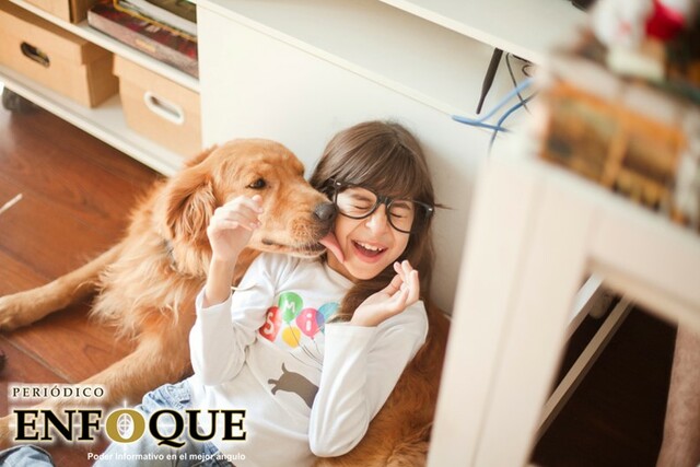 Foto: Cortesía 5 Razones por las que tu perro te lame, según la ciencia