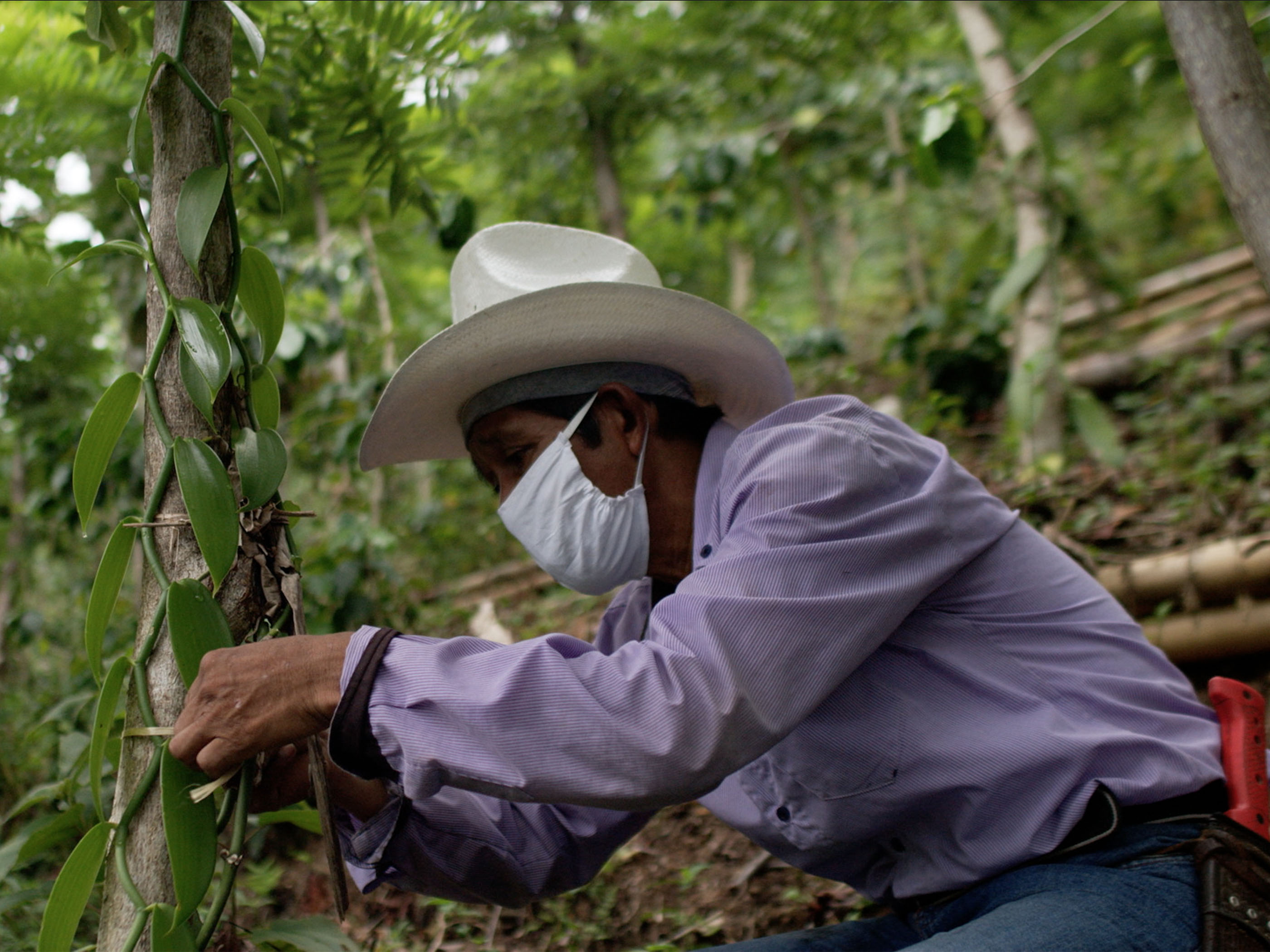 Foto: Cortesía Puebla avanza con una reapertura económica responsable