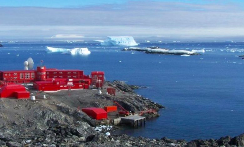 Foto: Cortesía Ni la Antártida se salva: reportan 36 contagiados de coronavirus en base chilena O’Higgins