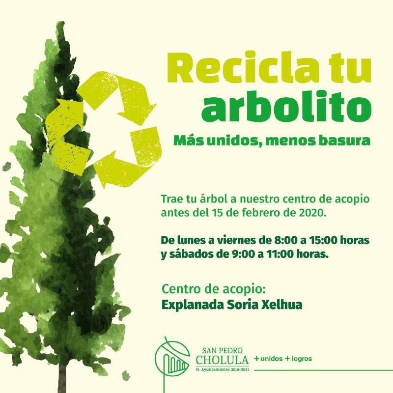 Foto: Cortesía Abre gobierno de San Pedro Cholula centro de acopio de árboles de navidad