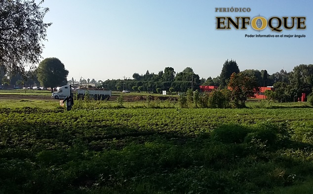 Foto: Omar Sánchez Cosecha San Pedro Cholula durante temporada invernal 600 hectáreas de hortalizas