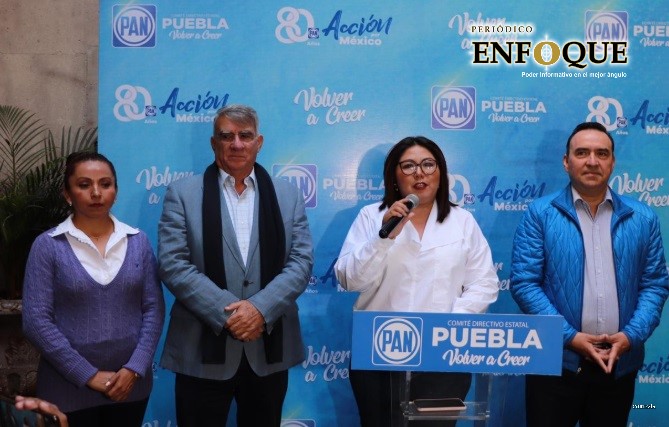 Foto: Cortesía PAN apoyará amparos contra el Insabi (Video)