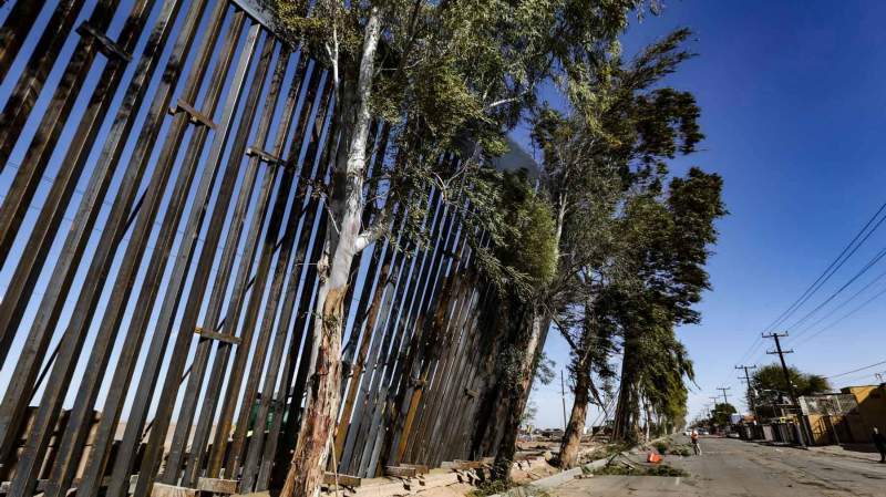 Foto: Cortesía Cae muro fronterizo por fuertes vientos en Mexicali