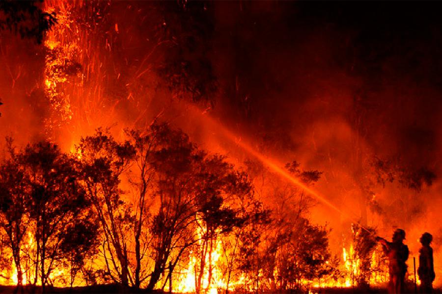 Foto: Cortesía Australia declara estado de emergencia en Canberra por el avance de incendios forestales