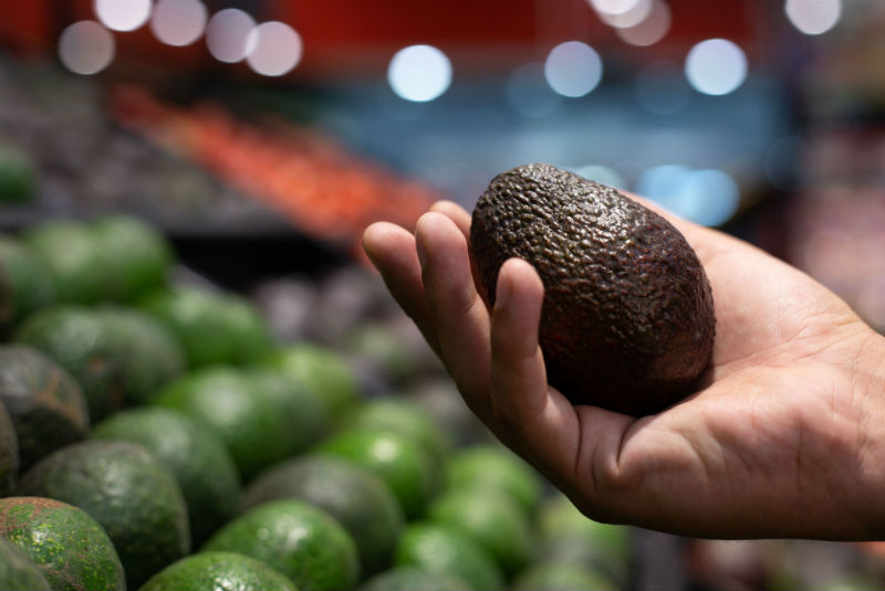 Foto: Cortesía México manda 125 toneladas de aguacate para el Super Bowl