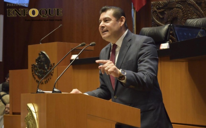 Foto: Cortesía Armenta Mier se pronuncia por eliminar la tala ilegal de árboles