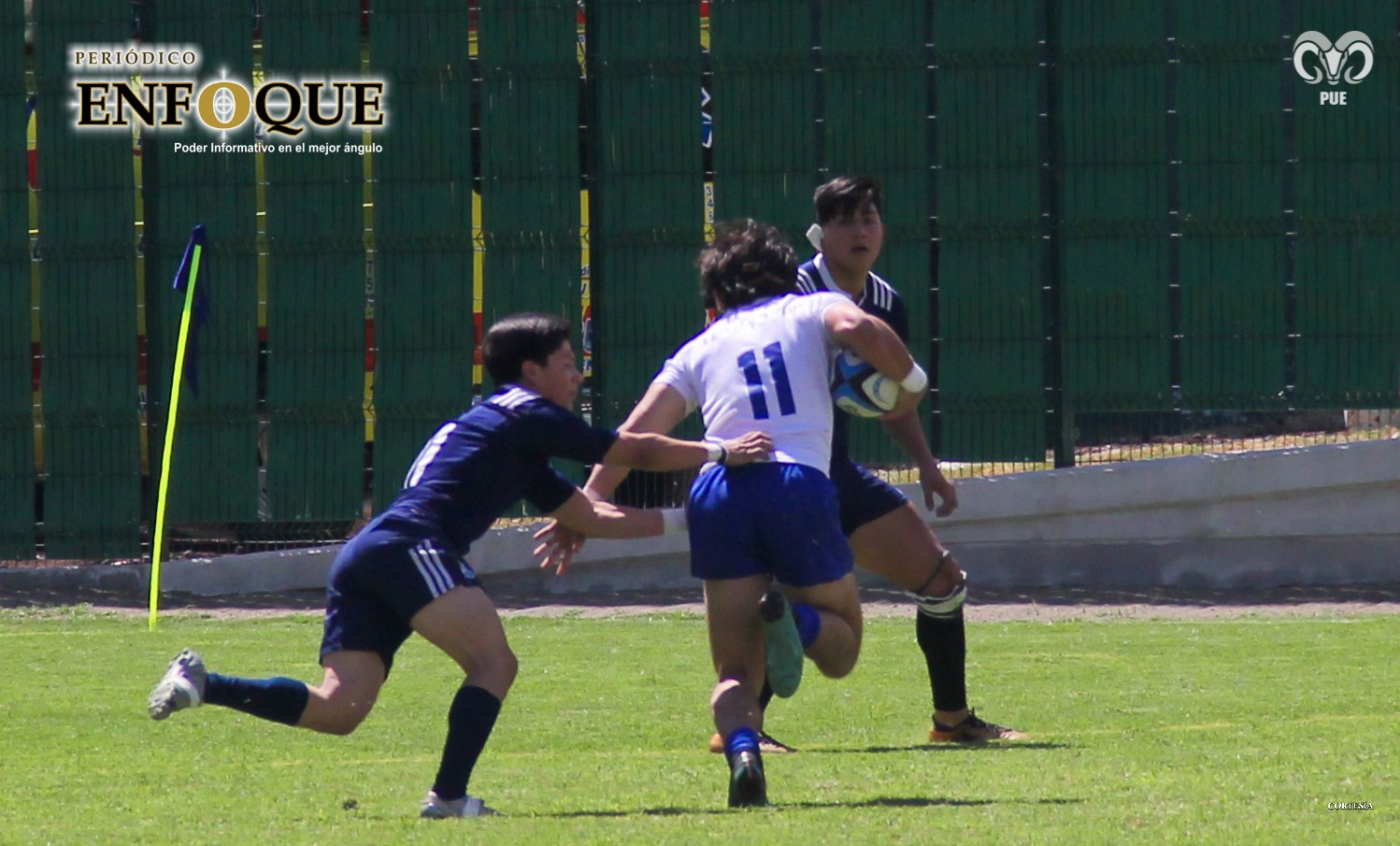 Foto: Cortesía Aplastante debut de Borregos Puebla en el Nacional de Rugby