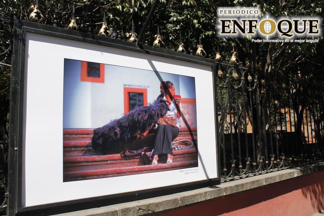 Foto: Rommel Pichardo Inauguran exposición sobre el carnaval en Palacio de Cultura