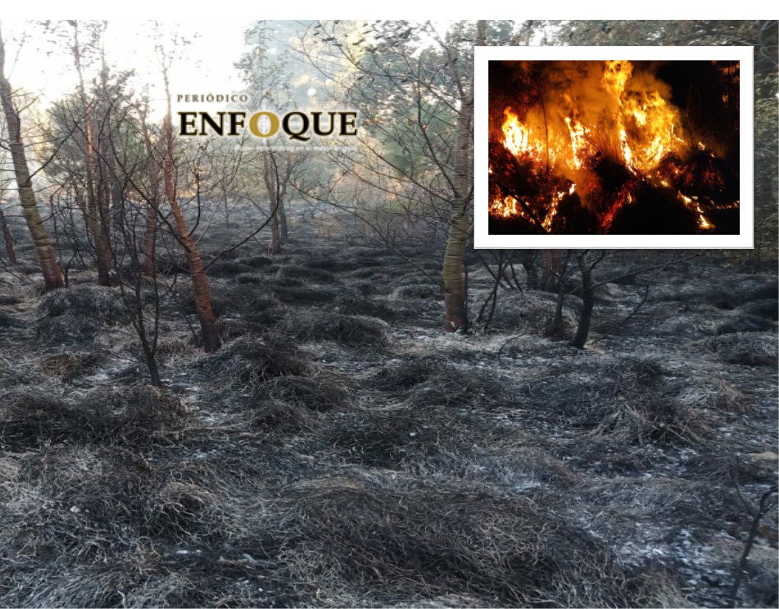 Foto: Cortesía Inicia la temporada de incendios forestales en Acajete