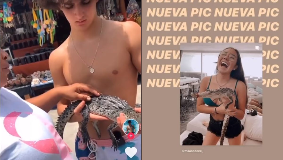 Foto: Cortesía Influencers mexicanos se divierten con cocodrilo ilegal; ofrecieron disculpas